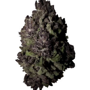 Banana Cream Jealousy