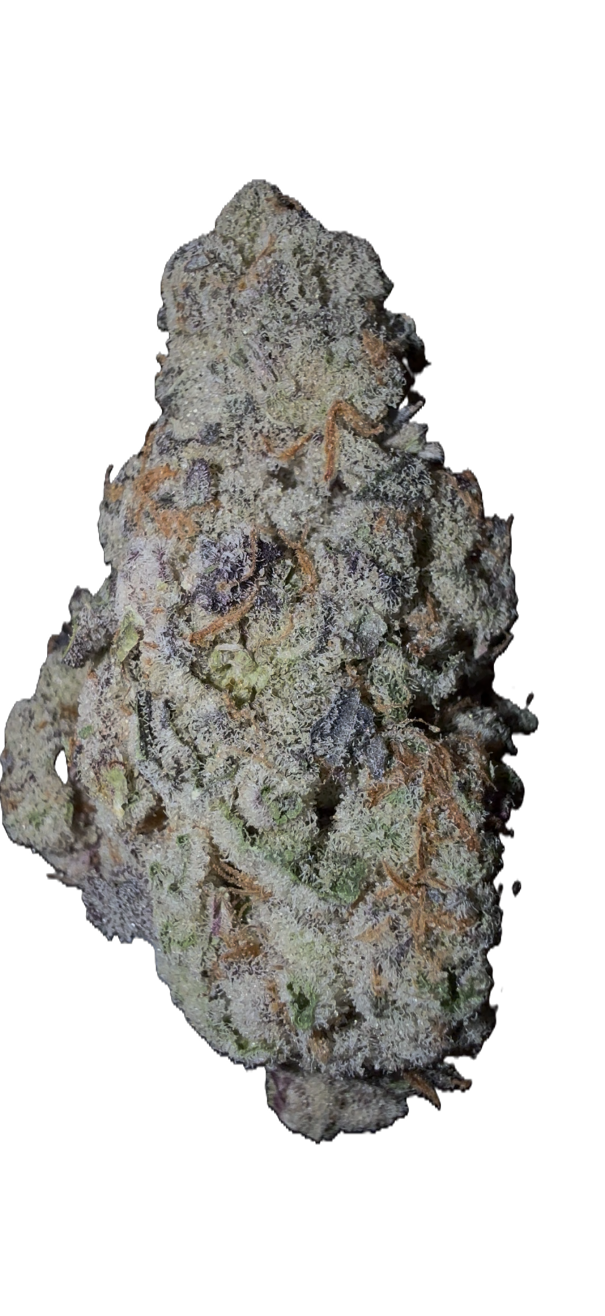 Super Boof