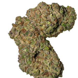 Cosmic Cookie