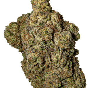 Mule Fuel